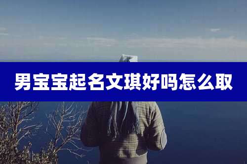 男宝宝起名文琪好吗怎么取