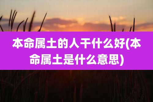 本命属土的人干什么好(本命属土是什么意思)