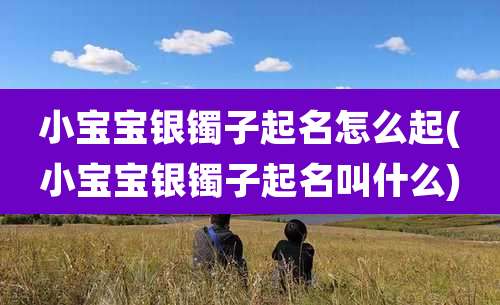 小宝宝银镯子起名怎么起(小宝宝银镯子起名叫什么)