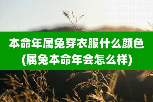 本命年属兔穿衣服什么颜色(属兔本命年会怎么样)