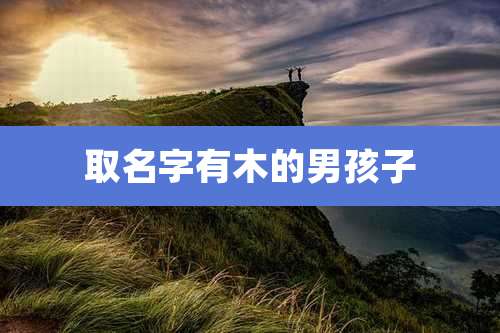 取名字有木的男孩子