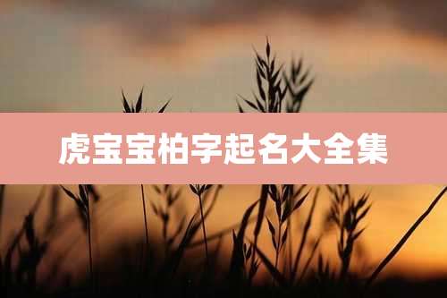 虎宝宝柏字起名大全集
