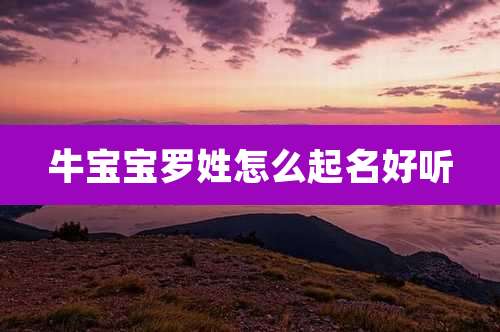 牛宝宝罗姓怎么起名好听