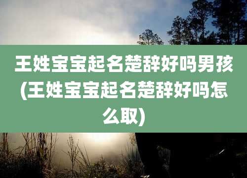 王姓宝宝起名楚辞好吗男孩(王姓宝宝起名楚辞好吗怎么取)