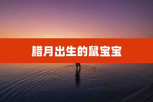 腊月出生的鼠宝宝