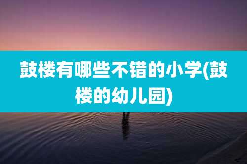 鼓楼有哪些不错的小学(鼓楼的幼儿园)