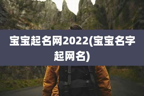 宝宝起名网2022(宝宝名字起网名)