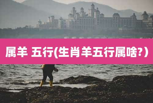 属羊 五行(生肖羊五行属啥?）