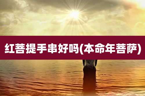 红菩提手串好吗(本命年菩萨)