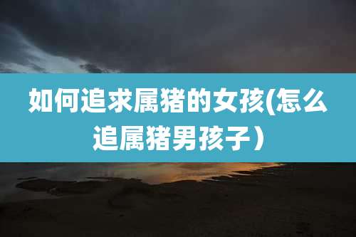 如何追求属猪的女孩(怎么追属猪男孩子）