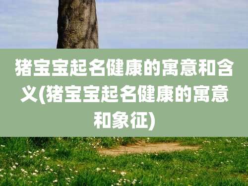 猪宝宝起名健康的寓意和含义(猪宝宝起名健康的寓意和象征)