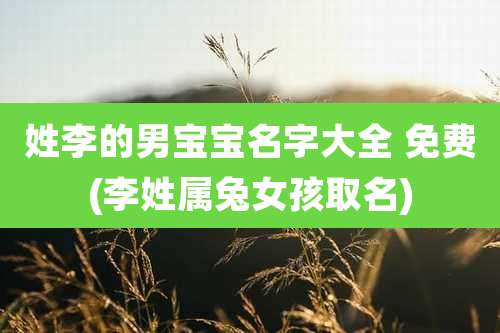 姓李的男宝宝名字大全 免费(李姓属兔女孩取名)