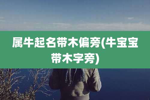 属牛起名带木偏旁(牛宝宝带木字旁)
