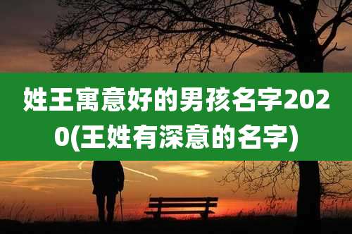 姓王寓意好的男孩名字2020(王姓有深意的名字)