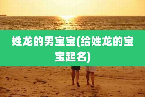 姓龙的男宝宝(给姓龙的宝宝起名)