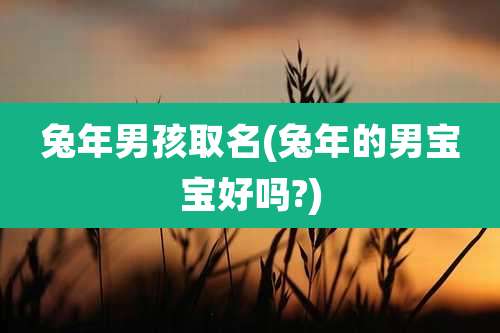 兔年男孩取名(兔年的男宝宝好吗?)