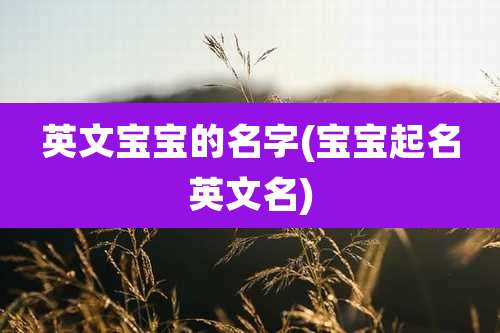 英文宝宝的名字(宝宝起名英文名)