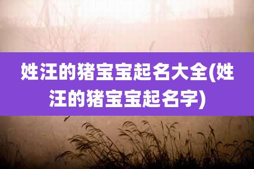 姓汪的猪宝宝起名大全(姓汪的猪宝宝起名字)