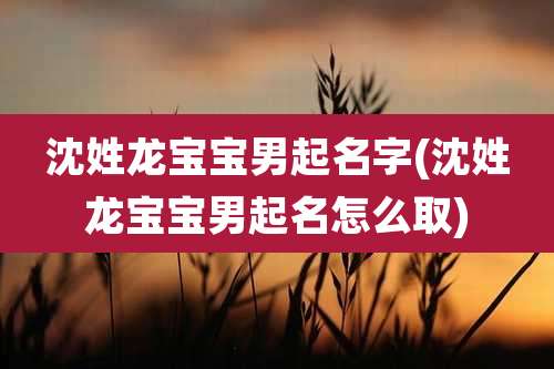 沈姓龙宝宝男起名字(沈姓龙宝宝男起名怎么取)