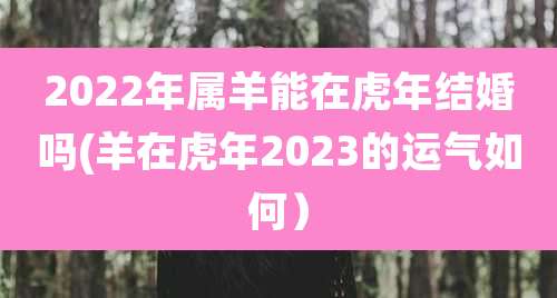 2022年属羊能在虎年结婚吗(羊在虎年2023的运气如何)