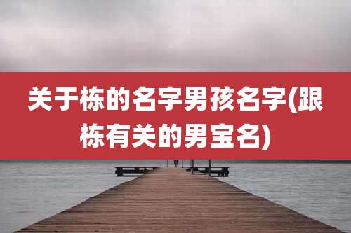 关于栋的名字男孩名字(跟栋有关的男宝名)