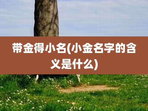带金得小名(小金名字的含义是什么)