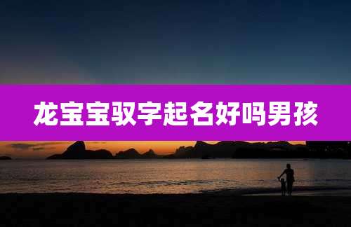 龙宝宝驭字起名好吗男孩