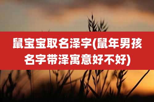 鼠宝宝取名泽字(鼠年男孩名字带泽寓意好不好)