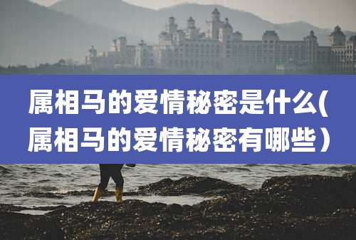 属相马的爱情秘密是什么(属相马的爱情秘密有哪些）