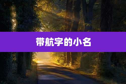 带航字的小名