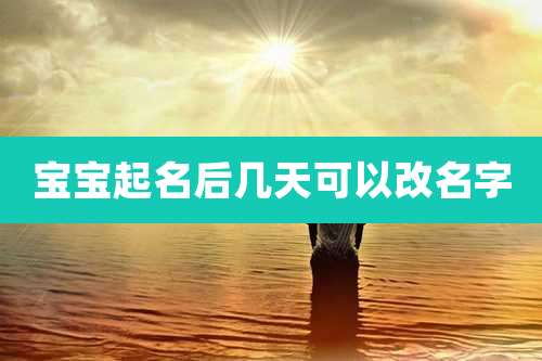 宝宝起名后几天可以改名字