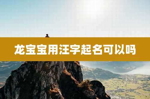龙宝宝用汪字起名可以吗