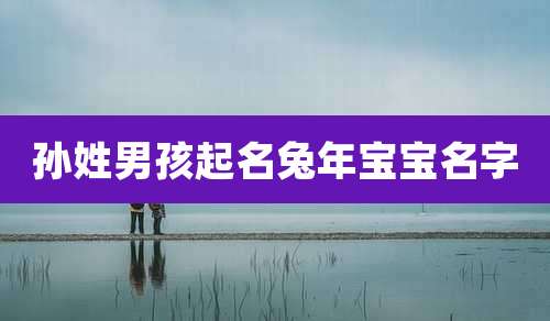 孙姓男孩起名兔年宝宝名字