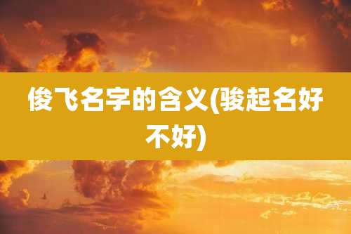 俊飞名字的含义(骏起名好不好)