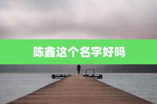 陈鑫这个名字好吗