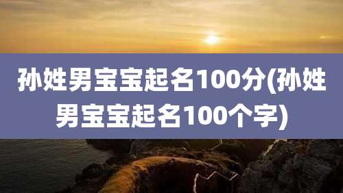 孙姓男宝宝起名100分(孙姓男宝宝起名100个字)