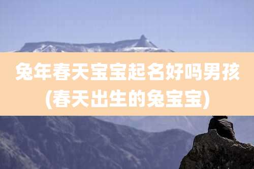 兔年春天宝宝起名好吗男孩(春天出生的兔宝宝)