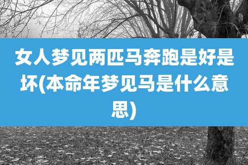 女人梦见两匹马奔跑是好是坏(本命年梦见马是什么意思)