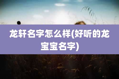 龙轩名字怎么样(好听的龙宝宝名字)