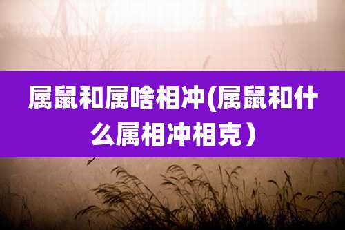 属鼠和属啥相冲(属鼠和什么属相冲相克）