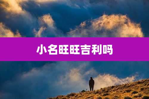 小名旺旺吉利吗
