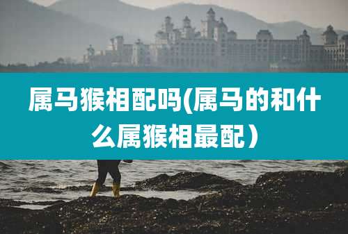 属马猴相配吗(属马的和什么属猴相最配）