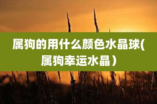 属狗的用什么颜色水晶球(属狗幸运水晶）