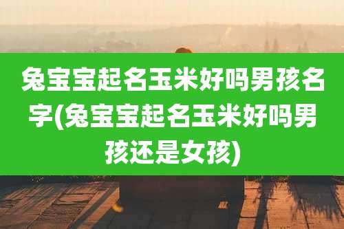 兔宝宝起名玉米好吗男孩名字(兔宝宝起名玉米好吗男孩还是女孩)
