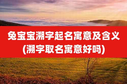兔宝宝溯字起名寓意及含义(溯字取名寓意好吗)
