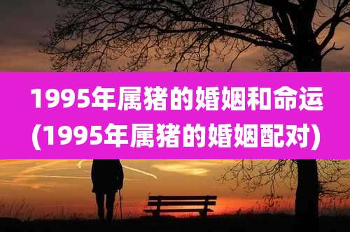 1995年属猪的婚姻和命运(1995年属猪的婚姻配对)