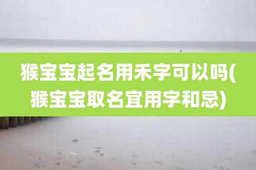 猴宝宝起名用禾字可以吗(猴宝宝取名宜用字和忌)