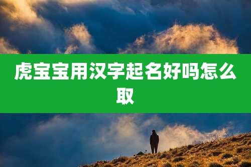 虎宝宝用汉字起名好吗怎么取