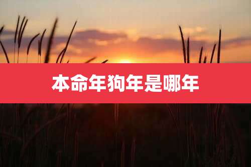 本命年狗年是哪年