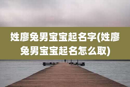 姓廖兔男宝宝起名字(姓廖兔男宝宝起名怎么取)